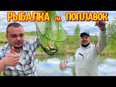 Видео: РЫБАЛКА на ПОПЛАВОК / ПОПАЛИ на РЫБНОЕ МЕСТО