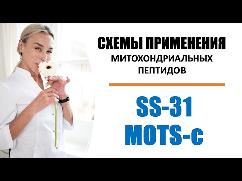 Видео: Схемы приема митохондриальных пептидов SS-31 и MOTS-c