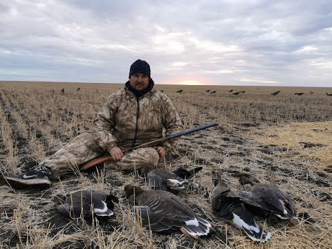 Видео: ОХОТА НА ГУСЯ .19-20.10.2022 ПОЛТАВСКОЕ , ЕГЕНДЫКОЛЬ