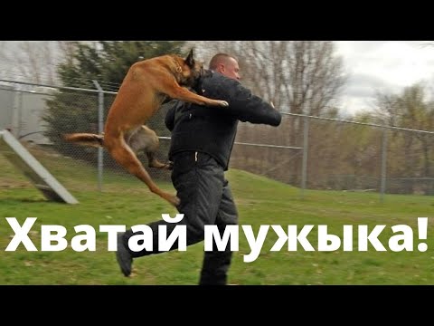 Видео: Как хотят ловить алиментщиков