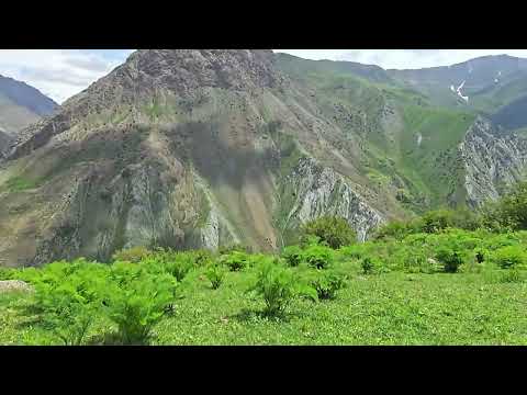 Видео: Дехаи Анзоб, забуруғчини