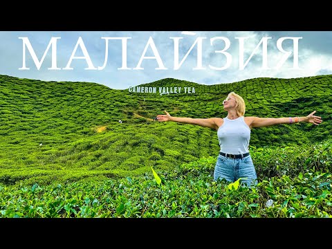 Видео: Малайзия. Нагорье Кэмерон (Cameron Highlands). Чайные плантации как на Шри-Ланке!