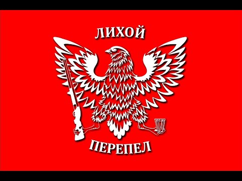 Видео: Открытие охоты на перепела. Ростовская область. #охота #охотанаперепела #открытиеохоты #лихойперепел