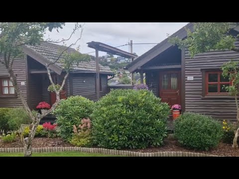 Видео: Норвегия🇧🇻Что растёт на дачах📌Это рай📍