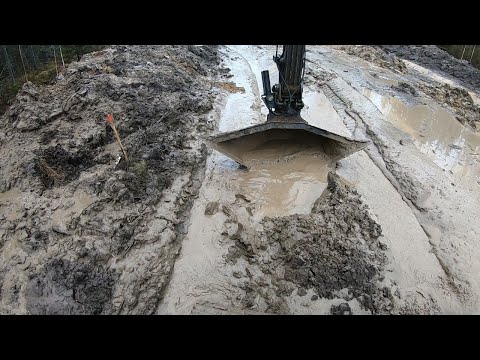 Видео: Кадры с лесных работ - Часть 3