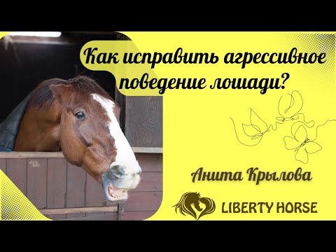 Видео: Как исправить агрессивное поведение лошади?