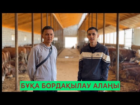 Видео: Мал бордақылау алаңы.