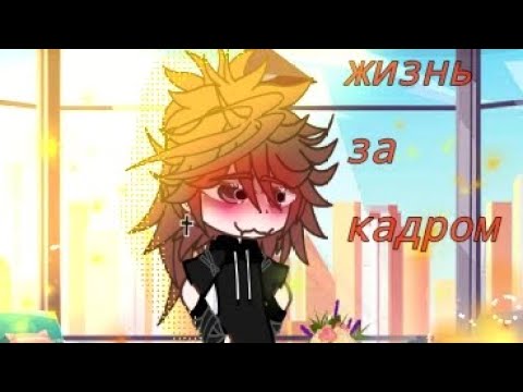 Видео: жизнь за кадром разноцветные коты [2]~часть