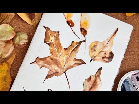 Видео: Как рисовать ОСЕННИЕ ЛИСТЬЯ акварелью? | Техника ПО МОКРОМУ | Акварельный скетчинг