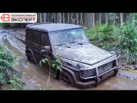 Видео: ГЕЛИК BRABUS | В ЛЕС НА ВСЕ ДЕНЬГИ