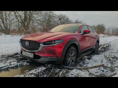 Видео: Новая Mazda CX-30. Первый Off-Road, Которого Не Было! Тест-драйв Мазда CX30