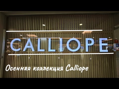 Видео: ШОПИНГ VLOG🛒Обзор осенней коллекции Calliope🍁