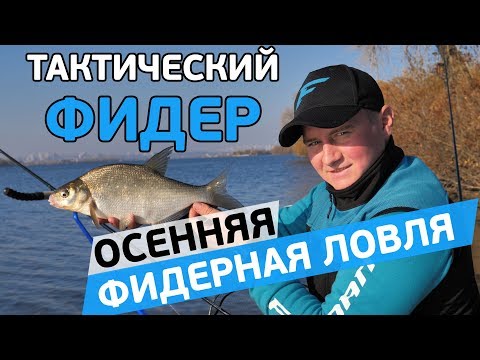 Видео: Осенняя фидерная ловля леща и подлеща! Тактический фидер!