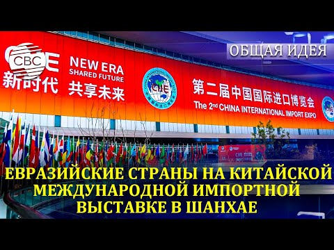 Видео: ОБЩАЯ ИДЕЯ｜Евразийские страны на Китайской международной импортной выставке в Шанхае