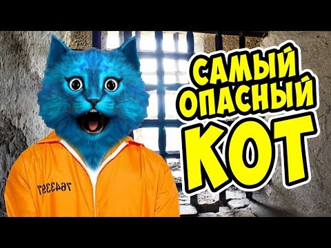 Видео: СИМУЛЯТОР ВОРА в ВИРТУАЛЬНОЙ РЕАЛЬНОСТИ Thief Simulator VR ПОБЕГ из ТЮРЬМЫ в ВР КОТЁНОК ЛАЙК