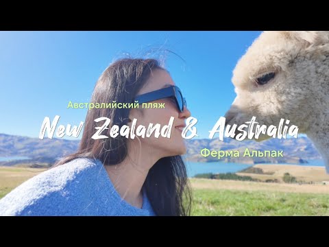 Видео: Командировка в Австралии и Новой Зеландии | Альпаки 🦙 | Bondi Beach | Ботанический сад