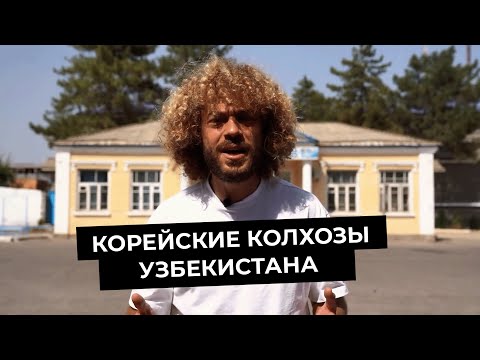 Видео: Варламов: Как живут корейцы в Узбекистане | Корейские колхозы