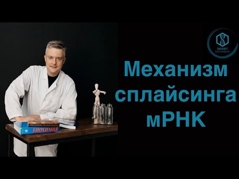 Видео: Механизм Сплайсинга мРНК
