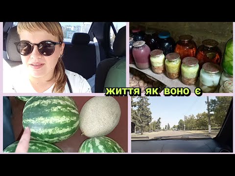 Видео: Поїхали трохи скупитися .Що там  в ПОГРИБІ.