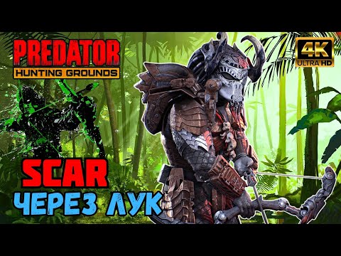 Видео: Predator Hunting Grounds ➤ SCAR Шрам через лук ➤ ОХОТА #183 #predator