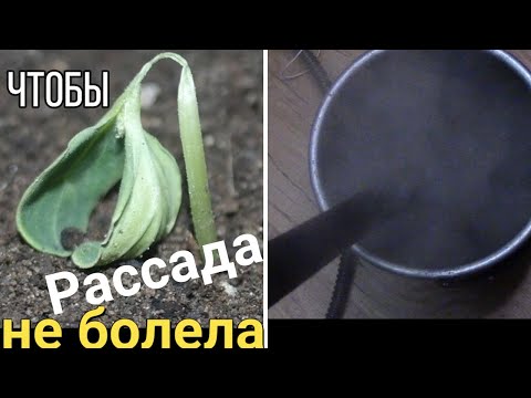 Видео: 4 способа ОБЕЗЗАРАЖИВАНИЯ ГРУНТА для РАССАДЫ.