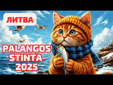 Видео: Palangos stinta 2025 По чём РЫБКА? Праздник корюшки. Литва #palanga
