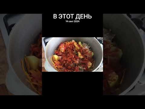 Видео: День вкусного борща #baruchfamily3d #еда #рецепты 