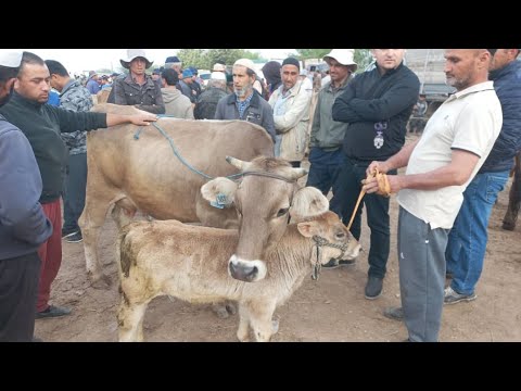 Видео: МОЛБОЗОРИ КОЛХОЗОБОД (ҶАЛОЛИДДИНИ БАЛХӢ) ТАМОШОИ БАРҲАВО ДӮСТОН