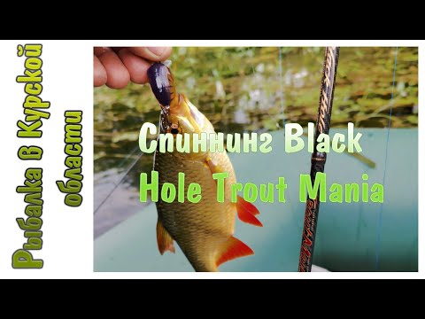 Видео: Спиннинг Black Hole Trout Mania 2019. Обзор посылки из Фмагазин Ру