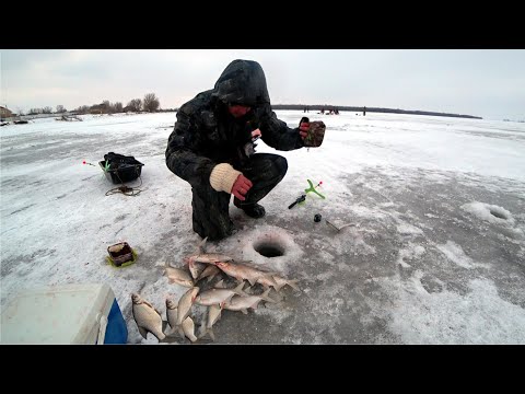 Видео: Рыбалка любой ценой. Ловля рыбы в феврале. Зимняя рыбалка 2023