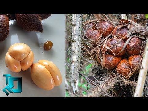 Видео: 10 НЕОБЫЧНЫХ ФРУКТОВ, которые вы НЕ ПРОБОВАЛИ
