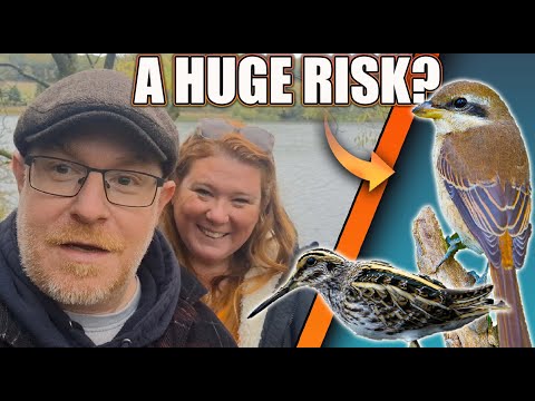 Видео: Стоила ли эта редкая птица риска? | Пожизненное заключение и не только!