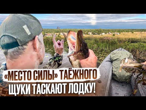 Видео: ЩУКИ ТАСКАЮТ КАЯК ПО РЕКЕ // "МЕСТО СИЛЫ" ТАЕЖНОГО // ТРОЛЛИНГ НА ВЕСЛАХ