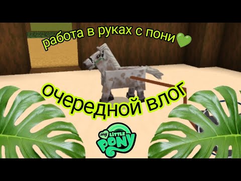 Видео: влог с кск 💚 работа в руках с пони 😍