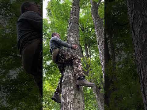 Видео: Как научиться ездить на одной палке, как старик. Для охотников за сёдлами