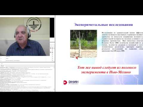 Видео: Заземление и молниезащита - вопросы и проблемы нормативной документации (вебинар))