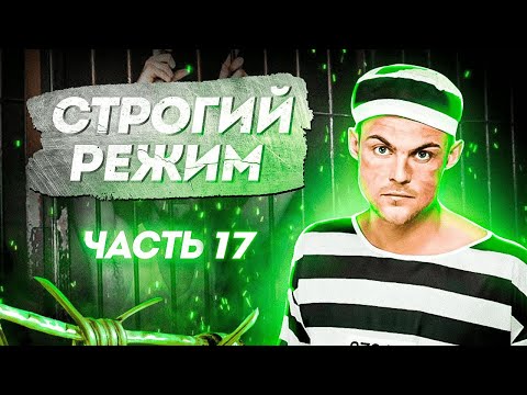 Видео: Часть 17. Не болтай языком, коты на зоне, не стоит предупреждать дурака | СТРОГИЙ РЕЖИМ