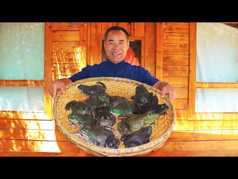 Видео: Лягушка с кипящим острым горшком, моей жене очень нравится | Дядя сельский гурман