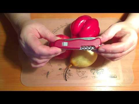 Видео: Обзоры ножей. Самый популярный VICTORINOX.