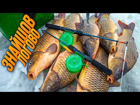 Видео: ТЕХНІКА ЛОВЛІ САЗАНА ЗИМОЮ, Вудка в дугу, леска рипить, зимова рибалка на сазана