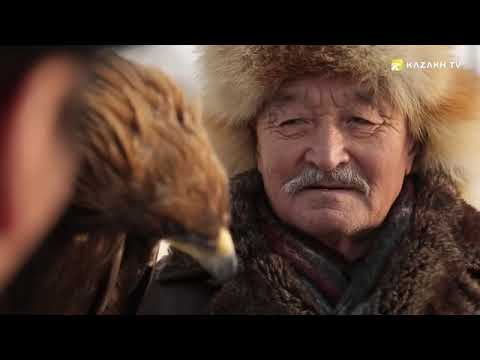 Видео: Беркут