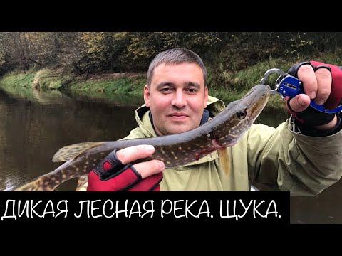 Видео: Рыбалка на Дикой реке. Псковская область.