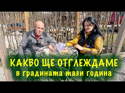 Видео: Какви семена си купихме? Кога е времето за правене на разсад | Къде какво ще засадим.