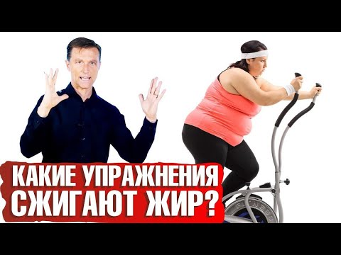 Видео: Какие упражнения сжигают жир? Главный секрет похудения 🏋🏻‍♂️