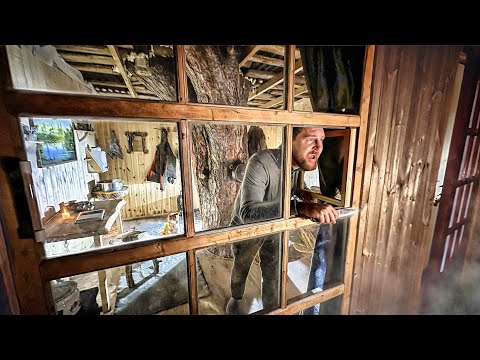 Видео: ЖУТКАЯ НОЧЬ в ДОМЕ на ДЕРЕВЕ в ЛЕСУ | ОН ПРИШЕЛ, КОГДА Я УСНУЛ и ХОДИТ РЯДОМ