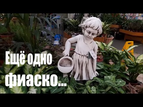 Видео: МОИ НОВЫЕ  @ЗНАКОМСТВА. КАВАЛЕР  С СОБАЧКОЙ. НЕУДАВШИЙСЯ @АДЮЛЬТЕР