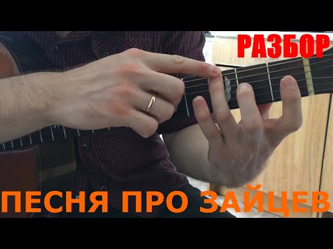 Видео: Песня про зайцев на Гитаре (Разбор)