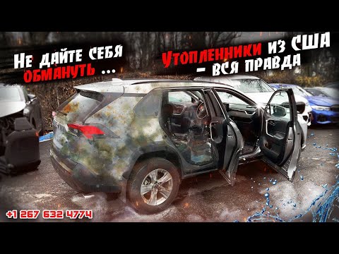 Видео: Что от вас скрывают при покупке «утопленников»Авто из США 🇺🇸. Услуги #7motors .