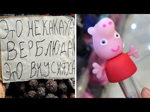 Видео: Фото подписчиков Фактории (225 часть)