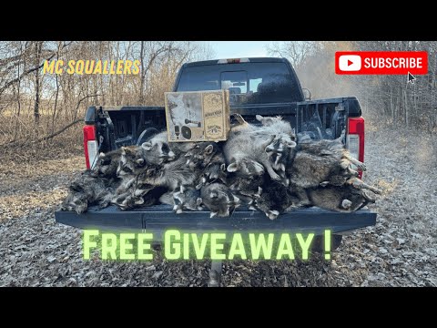 Видео: Охота на енотов: кузов грузовика, полный отборных енотов, и розыгрыш призов Lucky Duck Roughneck!...